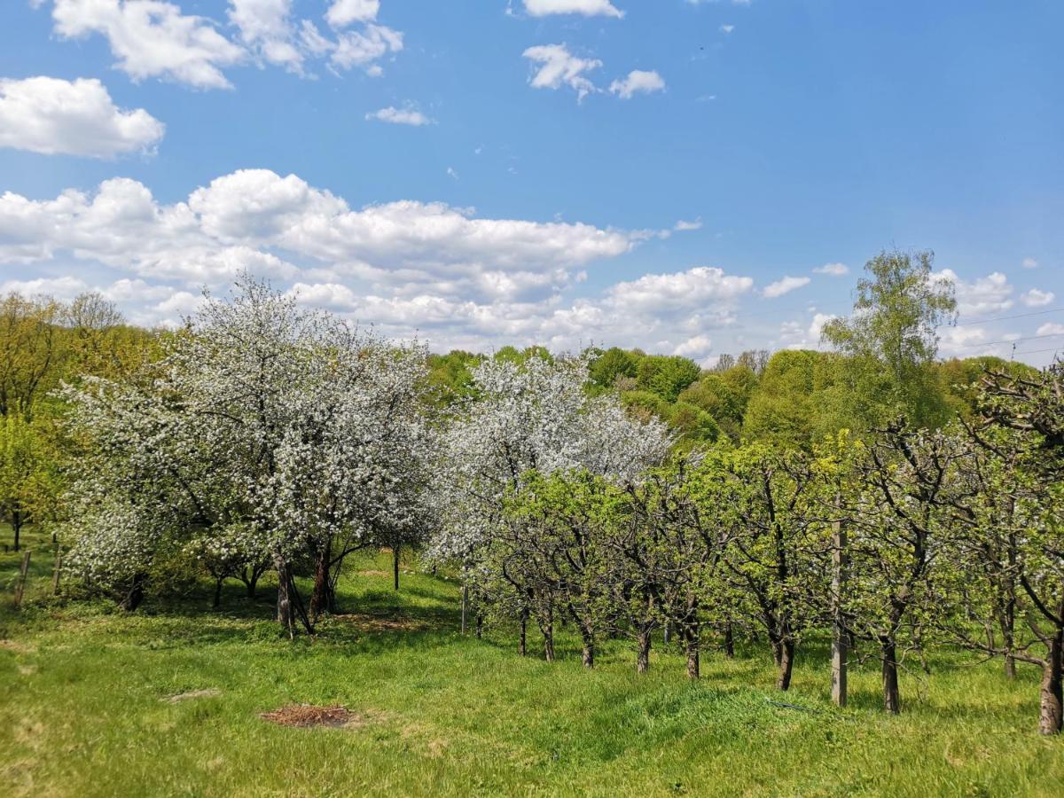 Villa Weekend House Dubrave Visoko Exterior foto